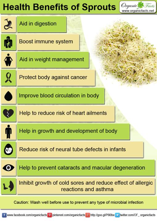 Health benefits of sprouts