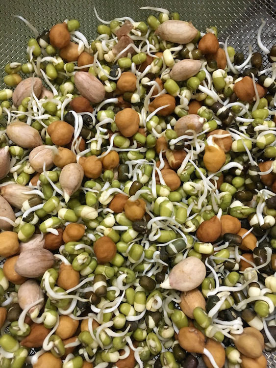 How to sprout beans, legumes, nuts, seeds and grains My Weekend Kitchen