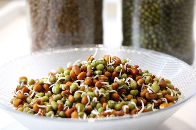How to sprout beans, legumes, nuts, seeds and grains | My Weekend ...