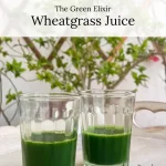 how to make wheatgrass juice at home